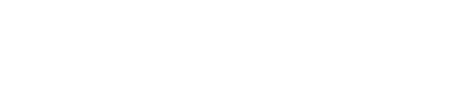 Houston Public Adjusting Site Logo White